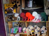 ฟีล Trendy Street น่าเดินที่ Haji Lane 