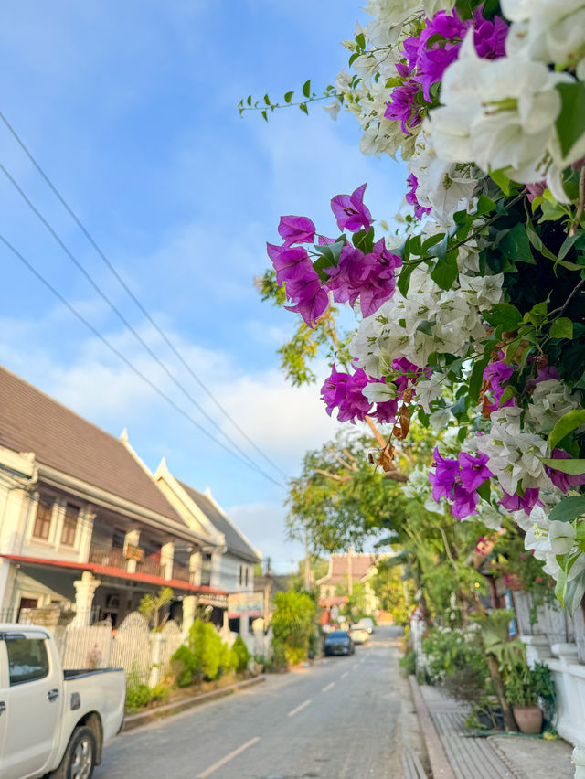 【🇱🇦ラオス】ルアンパバーンおすすめ宿🏡Singharat Boutique Houseで快適ステイ🏡