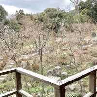 伏見稲荷大社モチーフのパフェ⛩️🦊