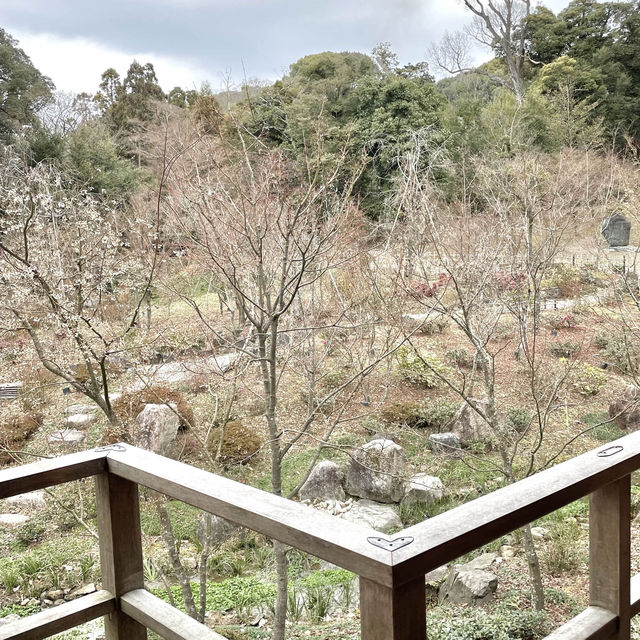 伏見稲荷大社モチーフのパフェ⛩️🦊