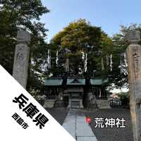 【兵庫県 西脇市】長寿の木！！県指定の天然記念物