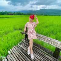 ทุ่งนาตานันท์