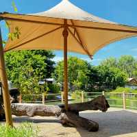 คาเฟ่ ฉะเชิงเทรา ฟิวเขาใหญ่ 
