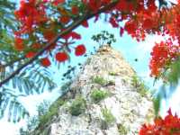 อุทยานหินเขางู จ.ราชบุรี