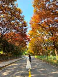 산책하기 좋은 미사경정공원🌳