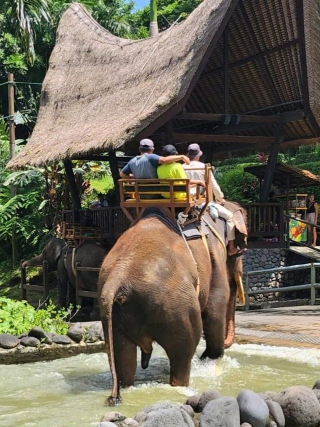 🇮🇩 5 days in Bali, Indonesia 