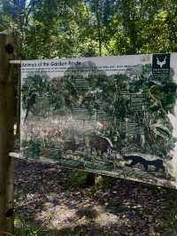 🌳 Discover the Wilderness of Tsitsikamma National Park 