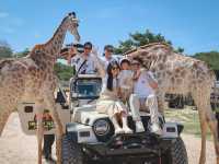 Huahinsafari & Adventure Park