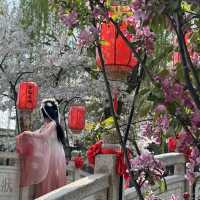Strolling through Luoyi Ancient City in Hanfu: A Journey Back to the Tang Dynasty!