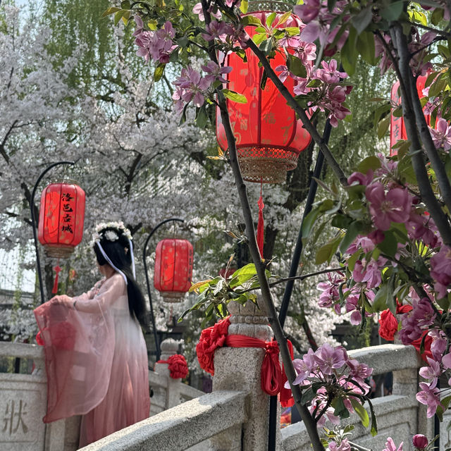 Strolling through Luoyi Ancient City in Hanfu: A Journey Back to the Tang Dynasty!