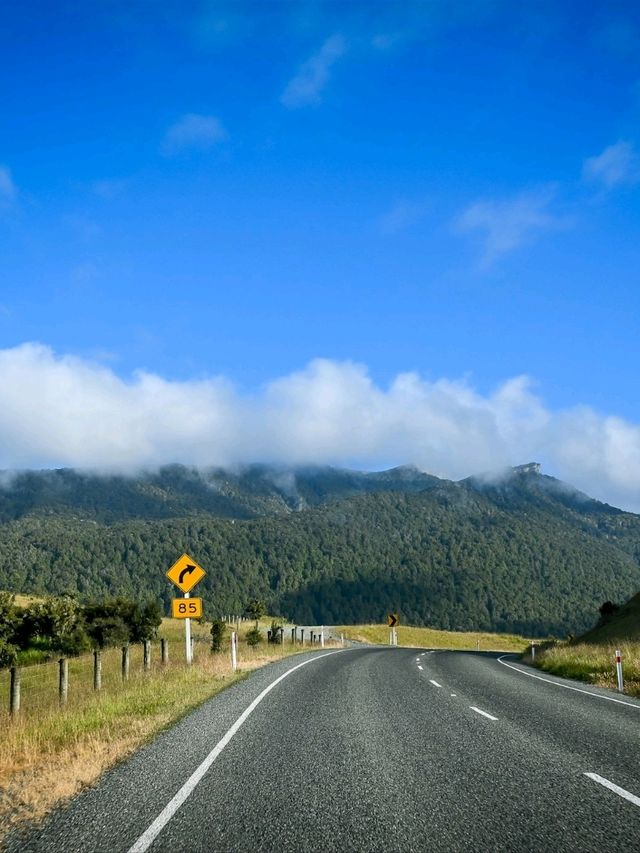 Road Trip to Fiordland National Park