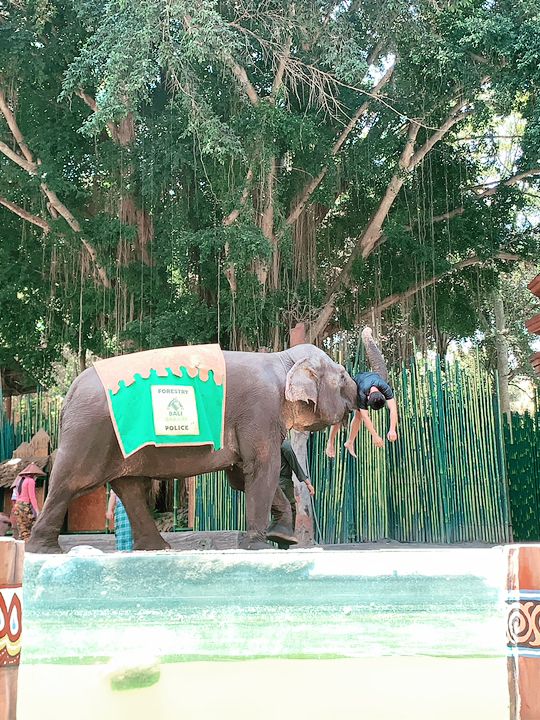 【バリ島】可愛い動物に沢山出会えるサファリ&マリンパーク