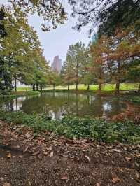 A beautiful place to relax