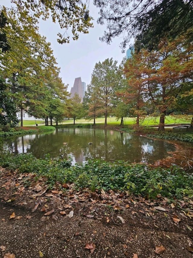 A beautiful place to relax