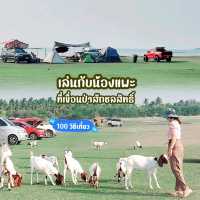 ให้อาหารแพะ ที่ท้ายเขื่อนป่าสักชลสิทธิ์ ลพบุรี