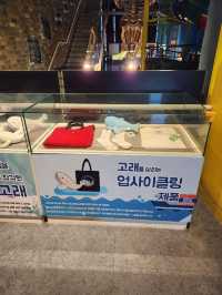 흥미로운 실내데이트 장소 장생포 고래박물관👍
