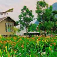 ผาม่านฝัน Pha Man Fun 