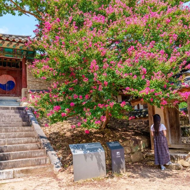 이렇게 예쁜 곳인줄 몰랐어