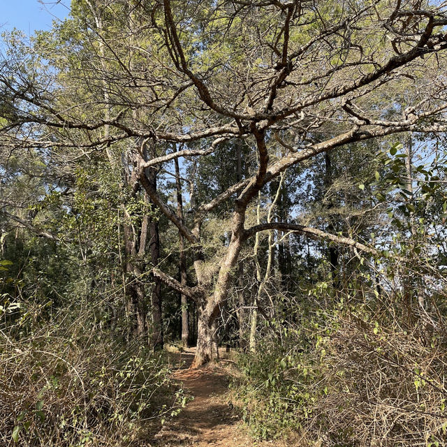 Pedal Through Wildlife in Eswatini’s Best-Kept Secret
