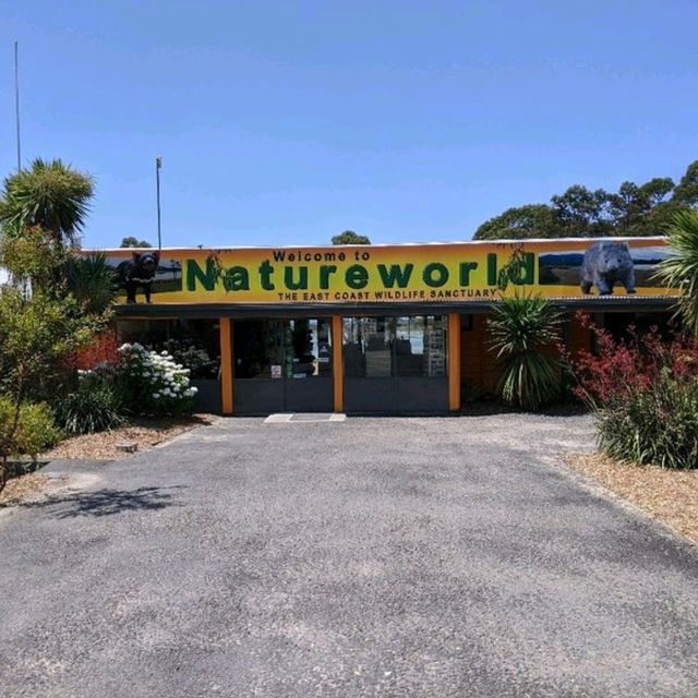 Experience Tasmania’s Wildlife at East Coast Natureworld, Bicheno