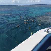 Scuba Diving in the Great Barrier Reef, Australia