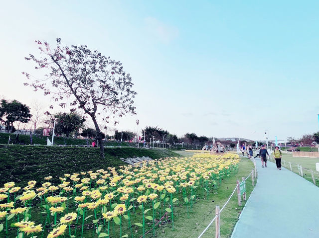 臺中水湳中央公園下午風景逛園遊吃滷味