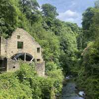 A Green Escape in the City