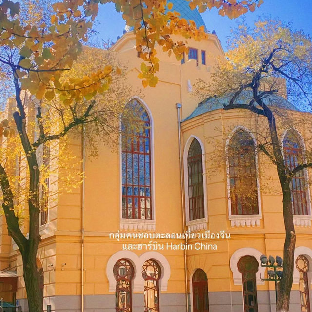 Harbin in Autumn 🍂 