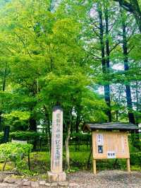 【日本東北】角館武家屋敷：陸奧小京都，江戸時代的風情縮影