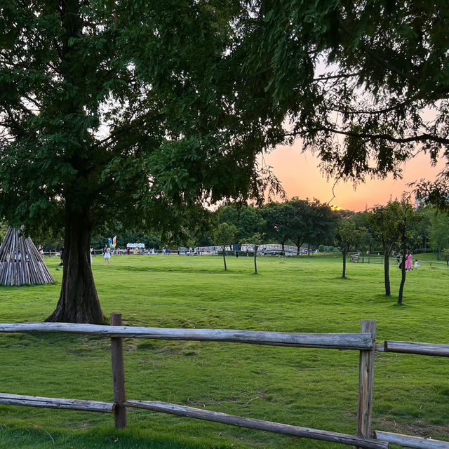 Garth Park：綠油油的自然天堂與迷人夕陽🌳🌅✨