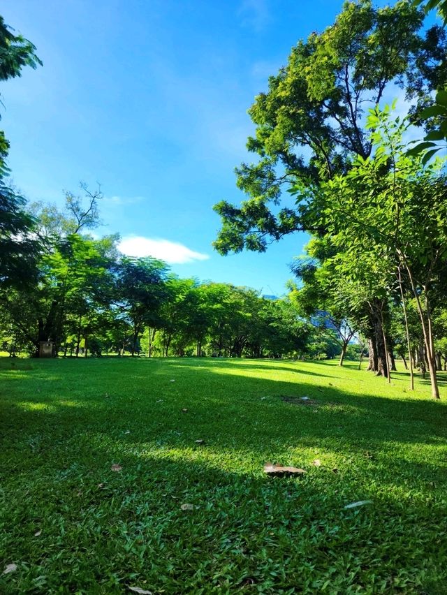 Running with Me @สวนรถไฟ 