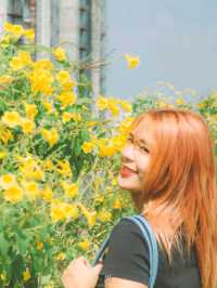 🌅 มุมถ่ายรูปพัทยาสุดฮิตฟีลเกาหลี ปูซาน