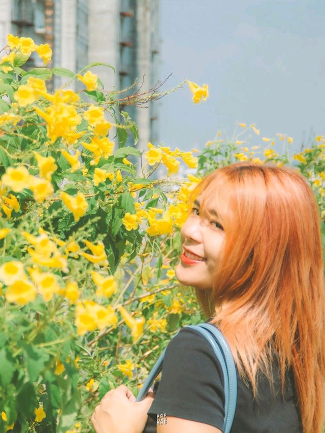 🌅 มุมถ่ายรูปพัทยาสุดฮิตฟีลเกาหลี ปูซาน