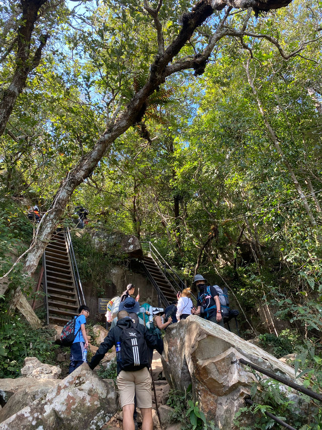 เดินป่าที่ภูกระดึง | จ.เลย 🚶🏻🌿🌳🥾
