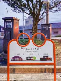 📍めがねストリート