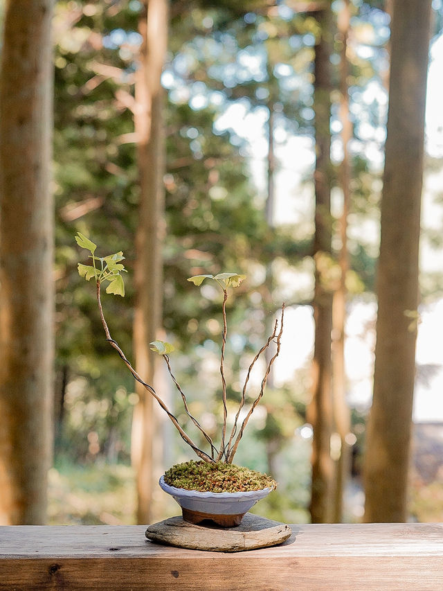 📍ギャラリー喫茶 苔筵