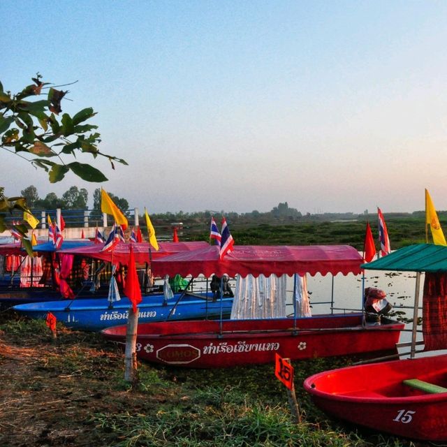 ทะเลบัวแดง ธรรมชาติที่เข้าถึงได้