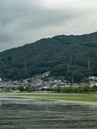 [長野] 諏訪湖上踩著可愛鴨子船