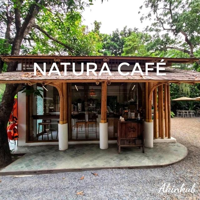 คาเฟ่บรรยากาศดี