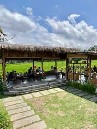 Cafe surrounded Ubud rice fields🌾