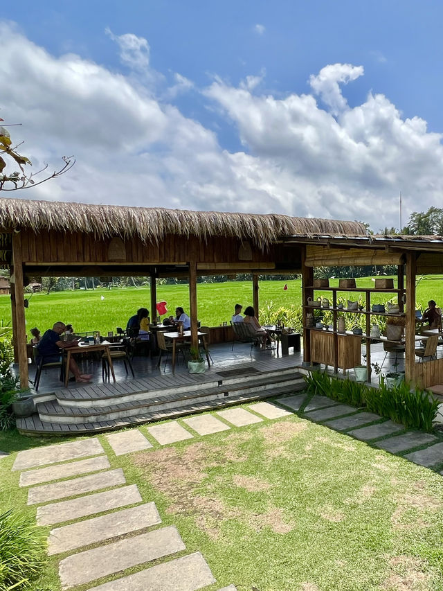 Cafe surrounded Ubud rice fields🌾