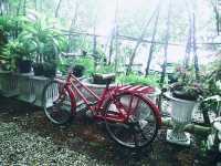 Cafe Homeyx2...ย่านลาดพร้าว 