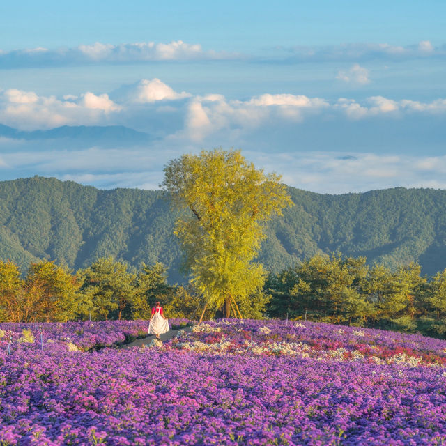 거창 감악산 사람 많은 이유💜
