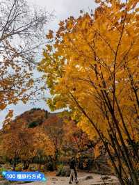 北海道賞楓-定山溪溫泉二天一夜賞楓行程推薦