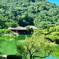 花田苑：鳥語花香的日本庭院夢🌸🐟