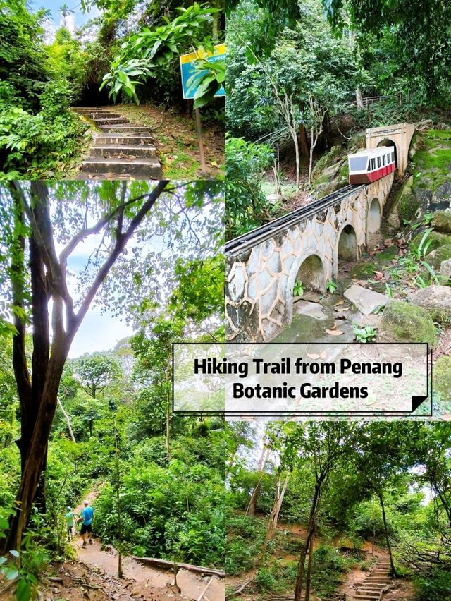 Hiking Trail from Penang Botanic Gardens