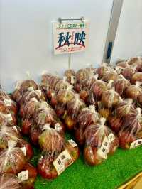🇯🇵たてしな自由農園