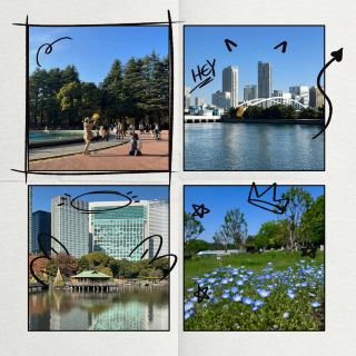 沢田公園：市區中的綠洲樂園 🌿🏙️