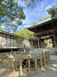 【福岡県】海神の総本社と龍の都