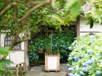 【神奈川/鎌倉】おすすめの観光スポット